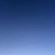 ヒメ日記 2026/02/09 19:19 投稿 ありす パイの巣