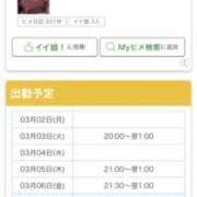 ヒメ日記 2026/03/02 16:13 投稿 ありす パイの巣