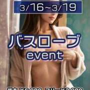 ヒメ日記 2026/03/12 00:39 投稿 ありす パイの巣