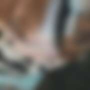 ヒメ日記 2025/11/04 21:52 投稿 かおる パイの巣