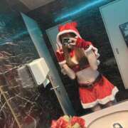 ヒメ日記 2025/12/19 20:25 投稿 かおる パイの巣