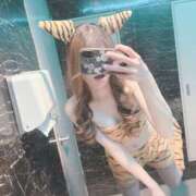 ヒメ日記 2026/02/04 19:55 投稿 かおる パイの巣