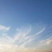 ヒメ日記 2026/02/13 19:50 投稿 かおる パイの巣