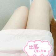 ヒメ日記 2025/08/28 09:20 投稿 はずき 熊本しこたまクリニック