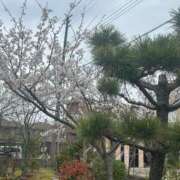 ヒメ日記 2025/04/10 18:04 投稿 らん BLUE BIRD (ブルーバード) 上越