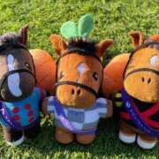 ヒメ日記 2025/11/13 21:49 投稿 えりか E+アイドルスクール船橋店