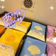 ヒメ日記 2025/11/20 01:03 投稿 皐月 せとか THE 清楚系の極 ファーストクラス ルビー