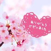 ヒメ日記 2025/04/16 01:22 投稿 なぎ 千葉人妻セレブリティ（ユメオト）