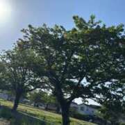 ヒメ日記 2025/04/26 09:55 投稿 なぎ 千葉人妻セレブリティ（ユメオト）