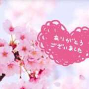 ヒメ日記 2025/05/09 20:20 投稿 なぎ 千葉人妻セレブリティ（ユメオト）