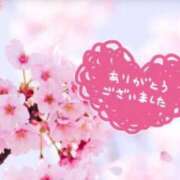 ヒメ日記 2025/05/12 01:50 投稿 なぎ 千葉人妻セレブリティ（ユメオト）