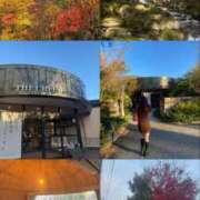 ヒメ日記 2025/10/29 17:03 投稿 なぎ 千葉人妻セレブリティ（ユメオト）