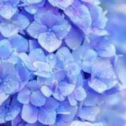 ヒメ日記 2025/06/21 22:53 投稿 ゆの TSUBAKI（水戸）