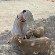 ヒメ日記 2025/06/26 19:11 投稿 ゆの TSUBAKI（水戸）