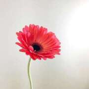 ヒメ日記 2025/07/07 15:59 投稿 ゆの TSUBAKI（水戸）