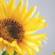 ヒメ日記 2025/07/14 20:16 投稿 ゆの TSUBAKI（水戸）