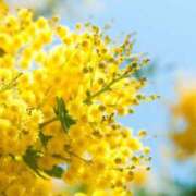 ヒメ日記 2025/07/19 15:22 投稿 ゆの TSUBAKI（水戸）