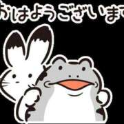 ヒメ日記 2025/07/22 06:20 投稿 ゆの TSUBAKI（水戸）