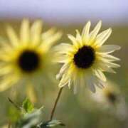 ヒメ日記 2025/08/25 18:15 投稿 ゆの TSUBAKI（水戸）