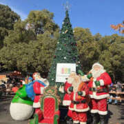 ゆの イベント♡ TSUBAKI（水戸）