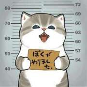 ゆの 毎度ごめんなさい TSUBAKI（水戸）