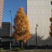 ヒメ日記 2025/12/01 09:00 投稿 かすみ 川崎・蒲田おかあさん