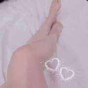 ヒメ日記 2025/04/09 08:50 投稿 ワスレナグサ 飾窓