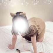 ヒメ日記 2025/04/09 11:50 投稿 ワスレナグサ 飾窓