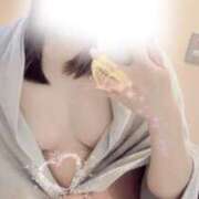 ヒメ日記 2025/04/13 17:10 投稿 ワスレナグサ 飾窓