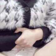 ヒメ日記 2025/04/14 18:20 投稿 ワスレナグサ 飾窓