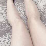 ヒメ日記 2025/04/16 16:57 投稿 ワスレナグサ 飾窓