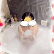 ヒメ日記 2025/04/19 12:20 投稿 ワスレナグサ 飾窓