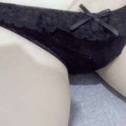 ヒメ日記 2025/04/19 17:35 投稿 ワスレナグサ 飾窓