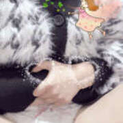 ヒメ日記 2025/05/13 16:15 投稿 ワスレナグサ 飾窓