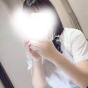 ヒメ日記 2025/06/23 14:24 投稿 ワスレナグサ 飾窓