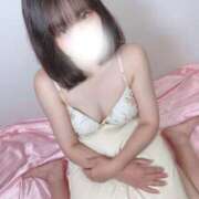 ヒメ日記 2025/08/09 13:41 投稿 ワスレナグサ 飾窓