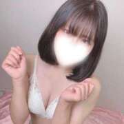 ヒメ日記 2025/08/09 18:15 投稿 ワスレナグサ 飾窓