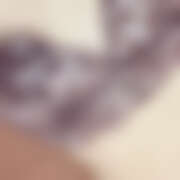 ヒメ日記 2025/11/19 12:48 投稿 ワスレナグサ 飾窓