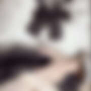 ヒメ日記 2025/11/22 17:05 投稿 ワスレナグサ 飾窓