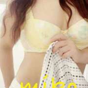 ヒメ日記 2025/07/03 09:00 投稿 みこ ご近所物語