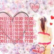 ヒメ日記 2025/11/14 09:10 投稿 みこ ご近所物語