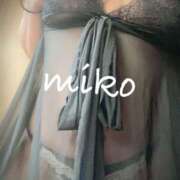 ヒメ日記 2025/11/15 11:52 投稿 みこ ご近所物語