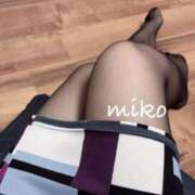 ヒメ日記 2025/11/27 08:53 投稿 みこ ご近所物語