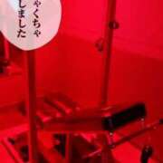 ヒメ日記 2025/11/28 02:45 投稿 みこ ご近所物語