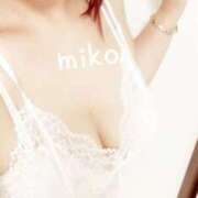 ヒメ日記 2025/11/30 12:27 投稿 みこ ご近所物語