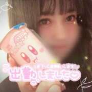 ヒメ日記 2025/04/09 16:00 投稿 めめ ご近所物語