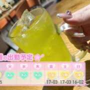 ヒメ日記 2025/04/14 06:00 投稿 めめ ご近所物語