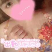 ヒメ日記 2025/04/14 09:01 投稿 めめ ご近所物語