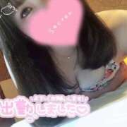 ヒメ日記 2025/04/18 17:01 投稿 めめ ご近所物語