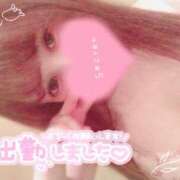 ヒメ日記 2025/04/20 16:02 投稿 めめ ご近所物語